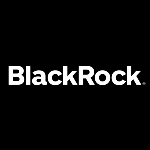 BlackRock - Technical Analysis