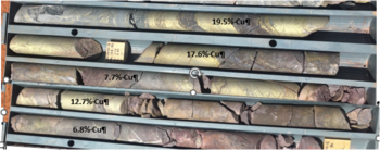 Tennant Minerals - Spectacular Drill Hit of 30.5m @ 6.2% Copper and 6.8 g/t Gold at Bluebird Includes 17.8m @ 11.5 g/t Gold and 16.1m @ 10.5% Copper (Massive Sulphides): https://www.irw-press.at/prcom/images/messages/2023/69183/Tennant_070223_ENPRcom.001.png