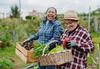 Humana Foundation Awards Health Equity Research Grants Equal to $1 Million to Three University Partners: https://mms.businesswire.com/media/20231205541539/en/1959439/5/AdobeStock_637447424.jpg