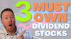 3 Must-Own Dividend Stocks: https://g.foolcdn.com/editorial/images/717657/youtube-thumbnails-45.png