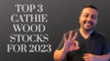 The Top 3 Cathie Wood Stocks for 2023: https://g.foolcdn.com/editorial/images/715202/top-3-cathie-wood-stocks-for-2023.png