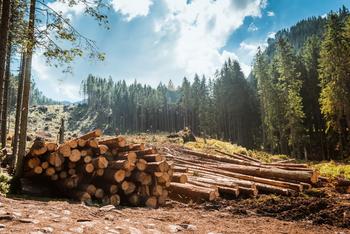 Why Louisiana-Pacific Stock Fell in August: https://g.foolcdn.com/editorial/images/746658/log-stacks-along-the-forest-road-source-getty.jpg