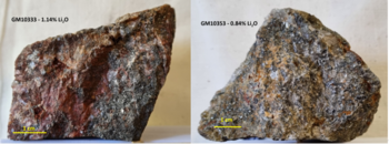 TinOne Expands Zone of Lithium Mineralization and Discovers Higher Grade Samples up to 1.14% Li2O at Its Aberfoyle Project in Tasmania, Australia: https://www.irw-press.at/prcom/images/messages/2023/69669/TinOne_20230315_ENPRcom.004.png