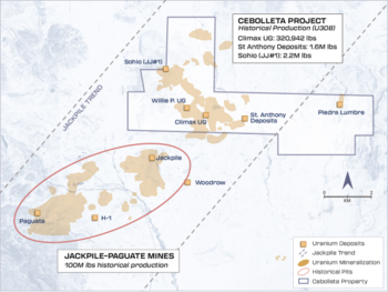 Recall of the Following News Release: Premier American Uranium and American Future Fuel Announce Updated Mineral Resource Estimate for the Cebolleta Project, Setting the Stage for Planned Expansion Drilling: https://www.irw-press.at/prcom/images/messages/2024/76015/21062024_EN_PUR.001.png