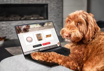 With Spending on Pets on the Rise, Is It Time to Buy Chewy Stock?: https://g.foolcdn.com/editorial/images/788930/gettyimages-1365754761.jpg