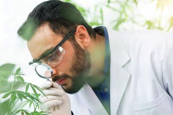 Here's What Marijuana Rescheduling Won't Fix in the Industry: https://g.foolcdn.com/editorial/images/778636/a-person-inspect-a-cannabis-plant-with-a-magnifying-glass.jpg