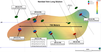 First Majestic Announces New High-Grade Gold and Silver Discovery at Santa Elena: https://www.irw-press.at/prcom/images/messages/2024/76399/20240730_First_Majestic_PRcom.003.png