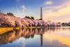 Marjorie Taylor Greene Loves Vanguard ETFs; Here Are 4 She Bought in the First Half of 2024: https://g.foolcdn.com/editorial/images/783942/washington-dc-the-pencil-monument-cherry-blossom-1200x800-5b2df79.jpg