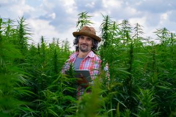 Tilray Stock Could Climb 114%, per Wall Street. Is It Actually Possible?: https://g.foolcdn.com/editorial/images/737365/cannabis-farmer-holds-tablet-while-in-field-of-cannabis.jpg