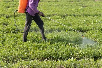 A Bull Market Is Coming: 3 Reasons to Buy Tractor Supply Stock: https://g.foolcdn.com/editorial/images/732301/fertilizer-or-insecticide-spraying-farm-agriculture-farmer.jpg