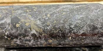 Maple Gold Appoints Paul Harbidge to Its Technical Committee and Provides Deep Drilling Update: https://www.irw-press.at/prcom/images/messages/2023/69182/07022023_EN_MGM.003.jpeg