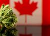 Why Aurora Cannabis Stock Got Smoked Today: https://g.foolcdn.com/editorial/images/749169/marijuana-and-canadian-flag.jpg