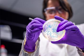 Why Shares of AlloVir Jumped This Week: https://g.foolcdn.com/editorial/images/735831/scientist-viewing-bacteria-test-gloves-petri-dish.jpg