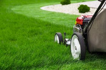 Why Toro Shares Are Down This Week: https://g.foolcdn.com/editorial/images/789812/lawn-mower-lawns-getty.jpg