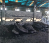 Neometals Ltd.: Successful Commerical-Scale Smelting Trials for Barrambie : https://www.irw-press.at/prcom/images/messages/2022/68075/Neometals_110322_ENPRcom.001.png