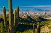 Bitcoin's New $337 Billion Market Opportunity Is in... Arizona?: https://g.foolcdn.com/editorial/images/718424/saguaro-cactus-with-phoenix-skyline-in-distance.jpg
