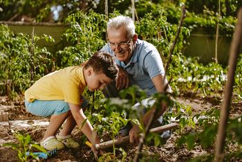 3 Cathie Wood Stocks That Could Deliver Bigger Gains Than the Market: https://g.foolcdn.com/editorial/images/743952/grandfather-and-grandson-plant-seeds-in-a-garden.jpg