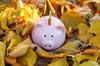 3 Best Stocks to Buy in September and Hold Forever: https://g.foolcdn.com/editorial/images/746840/a-piggy-bank-with-a-coin-in-it-surrounded-by-fall-leaves.jpg