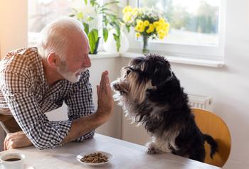 The Surprising Thing You Can Do Today to Get More Social Security: https://g.foolcdn.com/editorial/images/782108/older-man-high-fiving-a-dog-gettyimages-1061437330.jpg