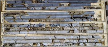 Puma Exploration Drills Visible Gold in 2023 Drilling Program at Williams Brook: https://www.irw-press.at/prcom/images/messages/2023/71520/Puma_020823_ENPRcom.005.jpeg
