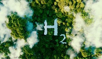 Will Plug Power's Growth Overcome One Big Problem?: https://g.foolcdn.com/editorial/images/745010/hydrogen-in-forest.jpg