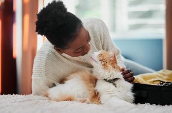 2 Bargain Growth Stocks to Buy Hand Over Fist: https://g.foolcdn.com/editorial/images/749021/gettyimages-woman-with-cat.jpg