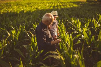 If You'd Invested $1,000 in CVR Partners 1 Year Ago, This Is How Much You Would Have Today: https://g.foolcdn.com/editorial/images/739452/23_05_02-two-people-in-a-corn-field-on-a-farm-_mf-dload.jpg