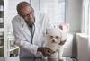 Is Zoetis Stock a Buy?: https://g.foolcdn.com/editorial/images/715077/veterinarian-treating-a-dog.jpg
