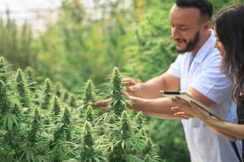 Is It Too Late to Buy Green Thumb Industries Stock?: https://g.foolcdn.com/editorial/images/719177/hemp-plants-farmer-checking.jpg