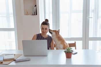 Shiba Inu Is Soaring in 2023: How Much Higher Can It Go?: https://g.foolcdn.com/editorial/images/717437/shiba-inu-next-to-sitting-person-with-laptop.jpg