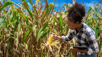 Why Shares of Green Plains Partners Just Hit a 52-Week High: https://g.foolcdn.com/editorial/images/748010/a-person-working-in-a-corn-field.jpg