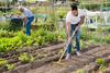 Why Tractor Supply Stock Was Moving Higher Today: https://g.foolcdn.com/editorial/images/741550/garden-family-farming-fresh-produce-1.jpg