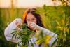Is Aurora Cannabis a Buy?: https://g.foolcdn.com/editorial/images/720917/marijuana-field-plant-scientist-trimming-buds.jpg