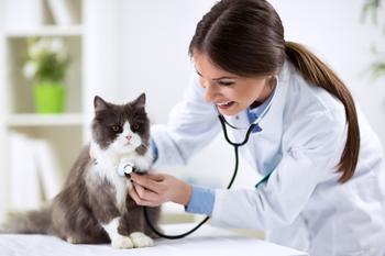 Trupanion's Sales Are Surging on Puppy Love That Should Have Growth Investors Salivate: https://g.foolcdn.com/editorial/images/732763/a-veterinarian-examines-a-cat.jpg