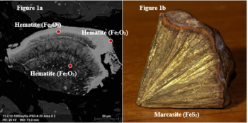 Chesapeake Announces Metallurgical Testwork Update: https://www.irw-press.at/prcom/images/messages/2023/71867/Chesapeake_060923_ENPRcom.003.png