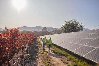 If You Invested $10,000 In NextEra Energy Partners In 2014, This Is How Much You Would Have: https://g.foolcdn.com/editorial/images/735824/workers-walk-along-a-row-of-solar-panels.jpg