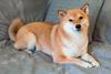 Can Shiba Inu Hit $0.0001 in 2023?: https://g.foolcdn.com/editorial/images/714610/shiba-inu7.jpg