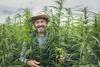 Could the U.S. Be Canopy Growth's End Goal?: https://g.foolcdn.com/editorial/images/721476/farmer-smiling-in-a-hemp-field.jpg