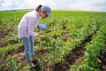 3 Key Tests for Tilray Stock in Fall 2023: https://g.foolcdn.com/editorial/images/745479/cannabis-farmer-inspects-plant-in-field.jpg