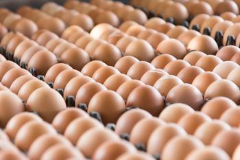 Why Pactiv Evergreen Stock Was Falling Today: https://g.foolcdn.com/editorial/images/767654/eggs-from-chicken-farm-in-the-package.jpg