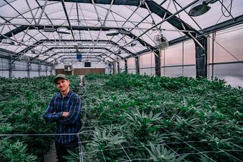 3 Stocks That Will Benefit the Most From Cannabis Rescheduling: https://g.foolcdn.com/editorial/images/779309/person-standing-in-a-greenhouse.jpg