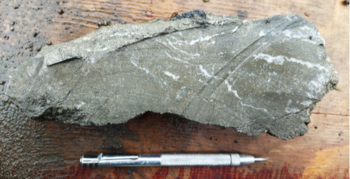 Vital Battery Metals Provides Update on Phase 1 of its 2024 Exploration Program at its Flagship Sting Copper Project: https://www.irw-press.at/prcom/images/messages/2024/76213/VBAM_StingUpdate_EN_PRcom.003.png