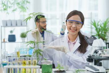 Is SNDL Stock a Buy?: https://g.foolcdn.com/editorial/images/778649/person-analyzing-marijuana-in-a-lab.jpg