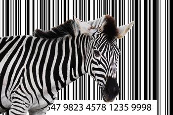 Why Zebra Technologies Stock Fell 9.8% Today: https://g.foolcdn.com/editorial/images/693732/barcode-zebra.jpg