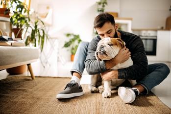 2 Incredible Stocks to Buy on the Dip: https://g.foolcdn.com/editorial/images/746263/gettyimages-man-with-dog.jpg