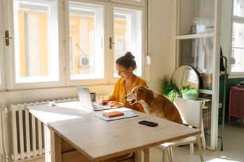 Why Chewy Stock Rallied Friday Morning: https://g.foolcdn.com/editorial/images/718326/a-person-sitting-working-on-a-laptop-with-a-dog-sitting-in-the-chair-next-to-them.jpg