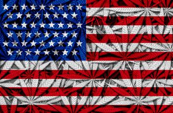 Why Canopy Growth, Tilray, and Cronos Group Stocks Just Cratered: https://g.foolcdn.com/editorial/images/775276/american-flag-with-marijuana-plants-in-the-background.jpg