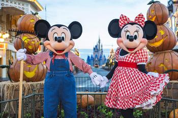 5 Reasons Disney Stock Could Be a Bargain Right Now: https://g.foolcdn.com/editorial/images/744869/festive-fall-decor-arrives-in-magic-kingdom-park-at-walt-disney-world-2.jpeg