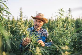 2 Cannabis Stocks You Can Buy and Hold for the Next Decade: https://g.foolcdn.com/editorial/images/694403/greenthumb.jpg
