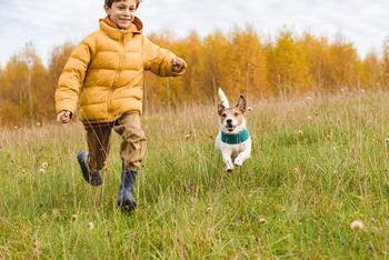 Chewy Stock: Bull vs. Bear: https://g.foolcdn.com/editorial/images/757778/person-running-with-dog-in-grassy-field.jpg